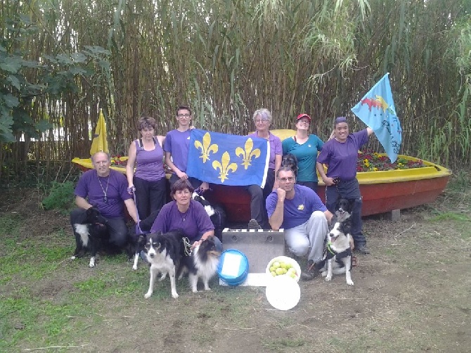 Du Trésor Du Berger De Fontenay - Vice Champion de France de Flyball 2016