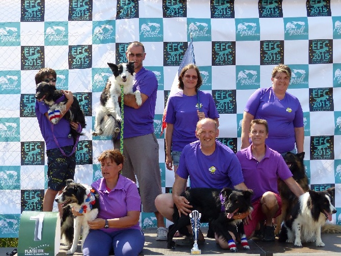 Du Trésor Du Berger De Fontenay - Champions D'Europe de Flyball 2015 